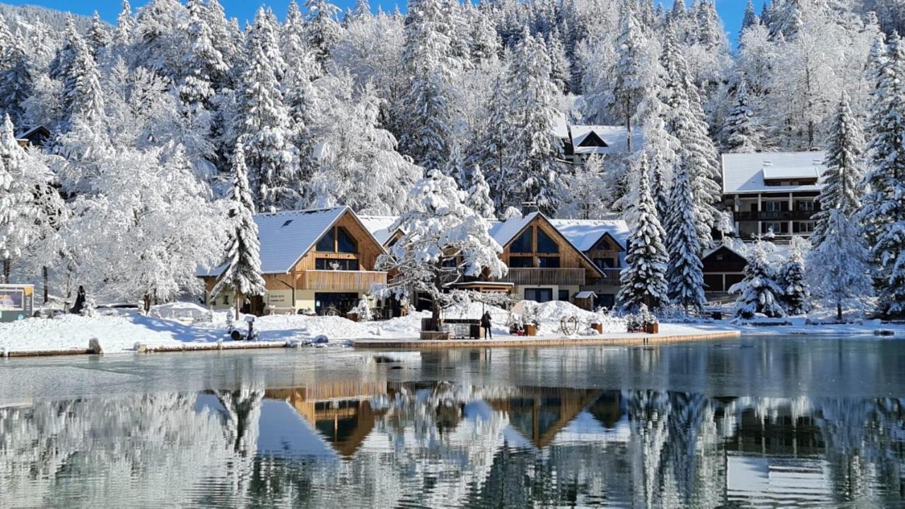 Jasna Chalet Resort 克拉尼斯卡戈拉 外观 照片