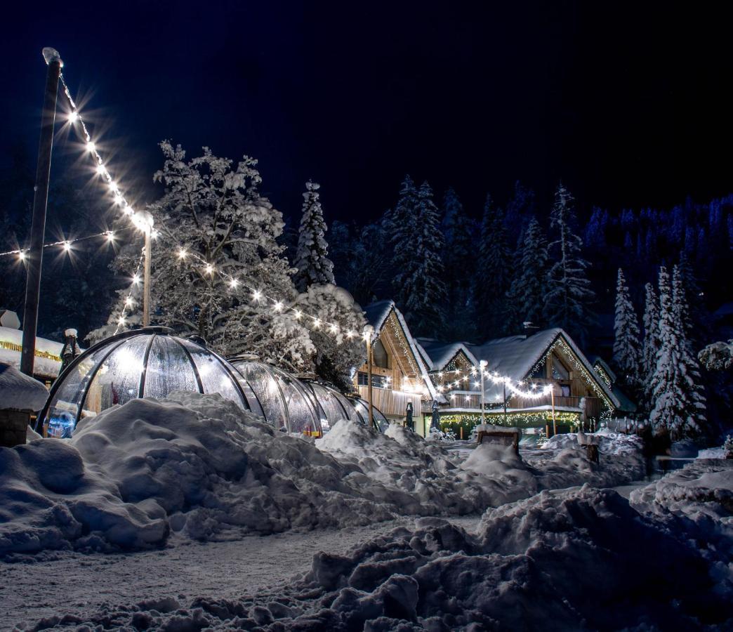 Jasna Chalet Resort 克拉尼斯卡戈拉 外观 照片