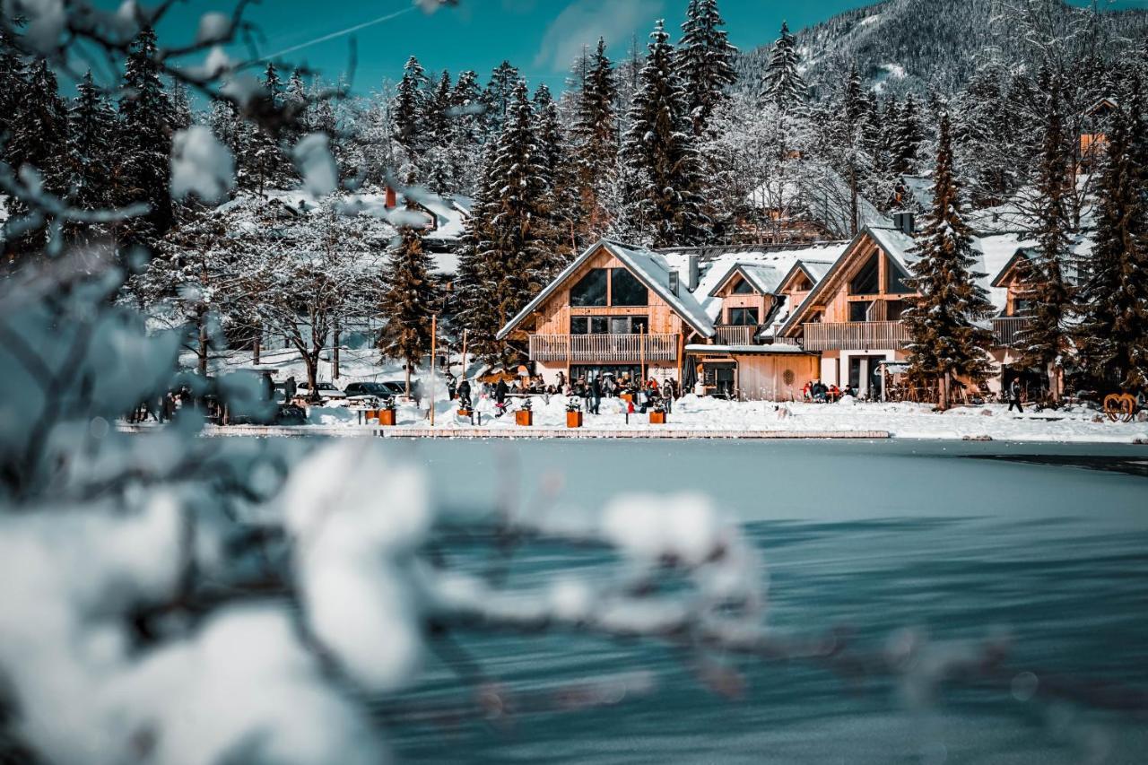 Jasna Chalet Resort 克拉尼斯卡戈拉 外观 照片