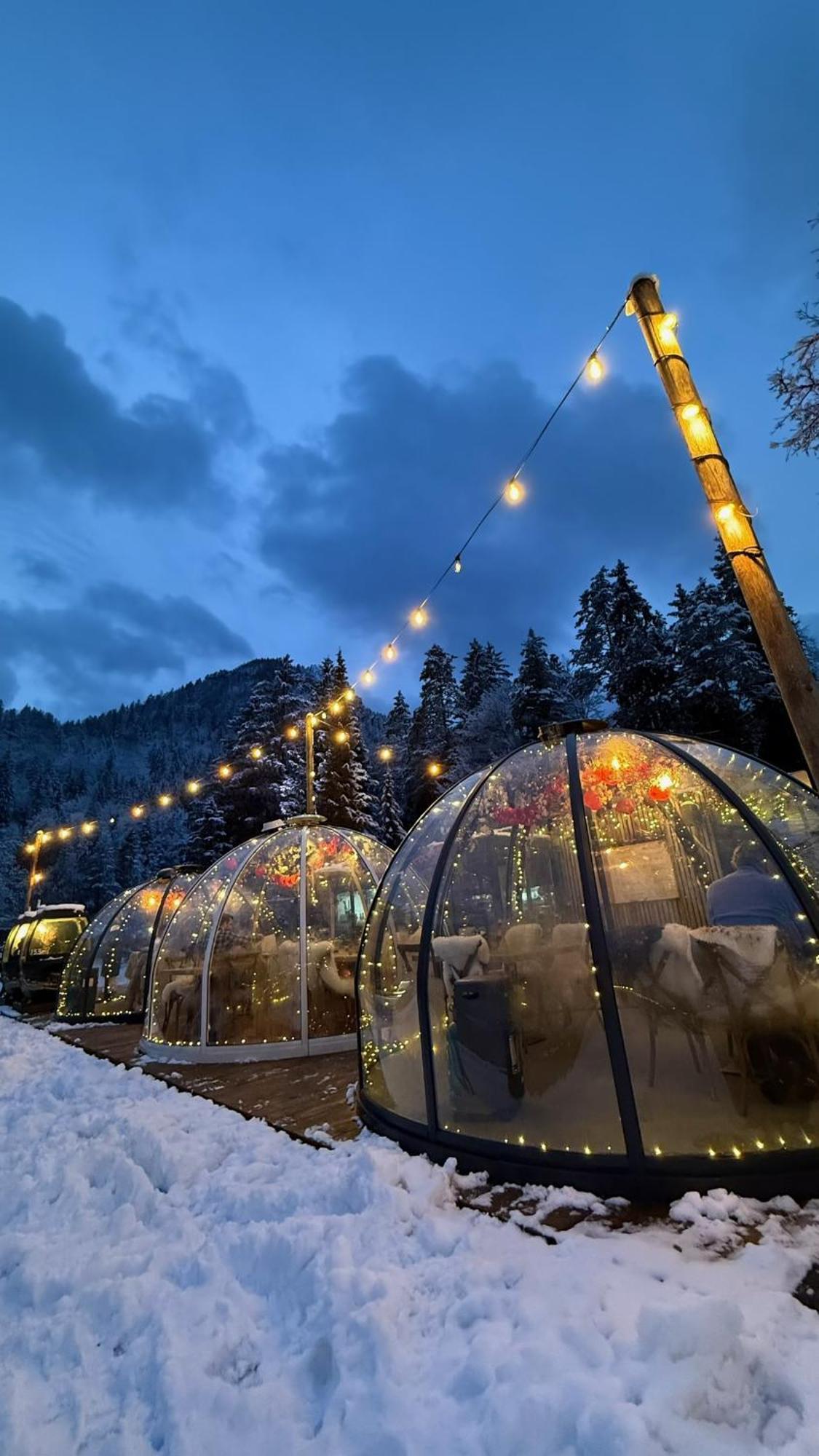 Jasna Chalet Resort 克拉尼斯卡戈拉 外观 照片